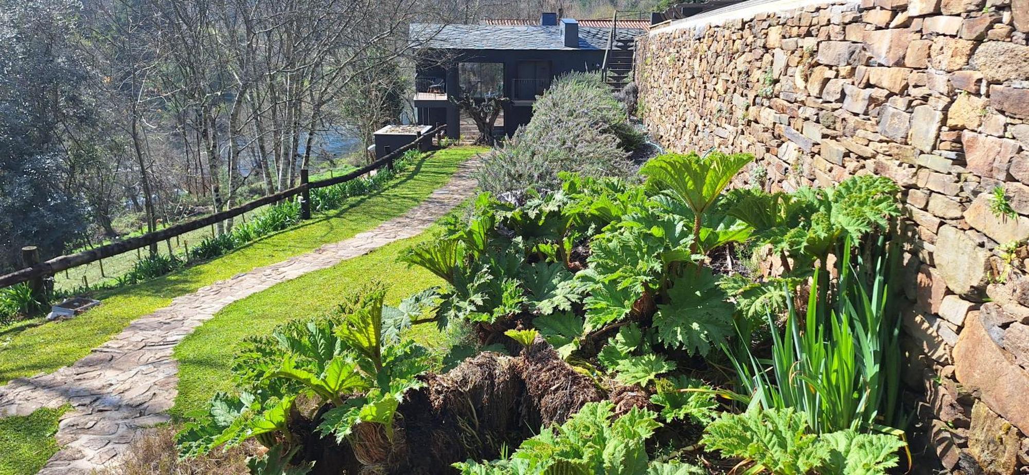 Gasthaus Rio Moment'S Castelo de Paiva Exterior foto