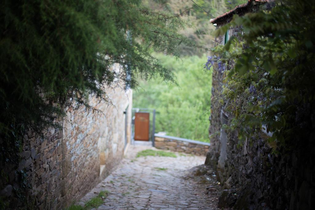 Gasthaus Rio Moment'S Castelo de Paiva Zimmer foto